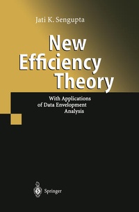 Enlarge image Cover: New Efficiency Theory - Springer