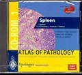 Cover: Spleen - Springer