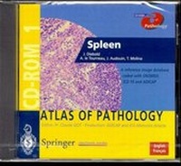 Enlarge image Cover: Spleen - Springer
