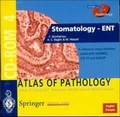 Cover: Stomatology - ENT - Springer