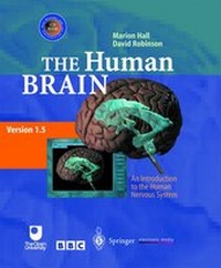 Enlarge image Cover: The Human Brain - Springer