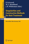 Cover: Singularities and Constructive Methods for Their Treatment - Springer