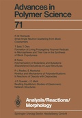 Cover: Analysis/Reactions/Morphology - Springer