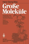 Cover: Gro&szlig;e Molek&uuml;le - Springer