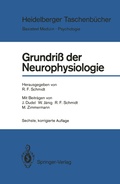 Cover: Grundri&szlig; der Neurophysiologie - Springer
