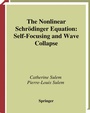 Cover: The Nonlinear Schrödinger Equation - Springer
