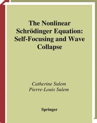 Enlarge image Cover: The Nonlinear Schrödinger Equation - Springer