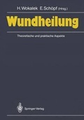Cover: Wundheilung - Springer