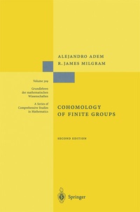 Abbildung von: Cohomology of Finite Groups - Springer