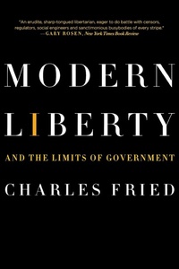 Enlarge image Cover: Modern Liberty - WW Norton & Co