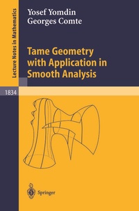 Abbildung von: Tame Geometry with Application in Smooth Analysis - Springer