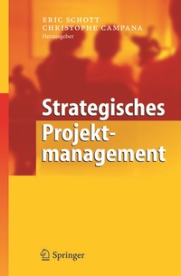 Abbildung von: Strategisches Projektmanagement - Springer