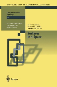 Abbildung von: Surfaces in 4-Space - Springer