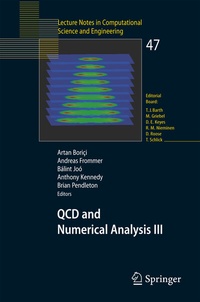 Enlarge image Cover: QCD and Numerical Analysis III - Springer