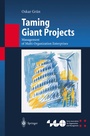 Cover: Taming Giant Projects - Springer