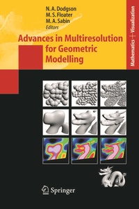 Enlarge image Cover: Advances in Multiresolution for Geometric Modelling - Springer