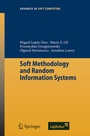 Cover: Soft Methodology and Random Information Systems - Springer