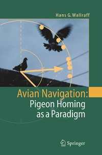 Abbildung von: Avian Navigation: Pigeon Homing as a Paradigm - Springer
