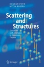 Cover: Scattering and Structures - Springer