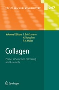 Bild: Collagen - Springer
