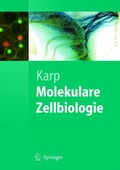 Cover: Molekulare Zellbiologie - Springer