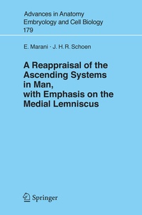 Abbildung von: A Reappraisal of the Ascending Systems in Man, with Emphasis on the Medial Lemniscus - Springer