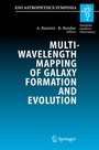 Cover: Multiwavelength Mapping of Galaxy Formation and Evolution - Springer