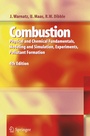 Cover: Combustion - Springer