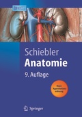 Cover: Anatomie - Springer