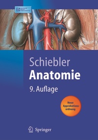Abbildung von: Anatomie - Springer