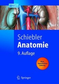 Abbildung von: Anatomie - Springer
