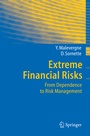 Cover: Extreme Financial Risks - Springer