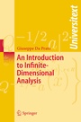 Cover: An Introduction to Infinite-Dimensional Analysis - Springer