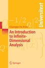 Cover: An Introduction to Infinite-Dimensional Analysis - Springer