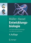 Cover: Entwicklungsbiologie - Springer