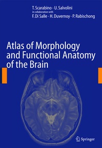 Abbildung von: Atlas of Morphology and Functional Anatomy of the Brain - Springer