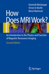 Abbildung von: How does MRI work? - Springer