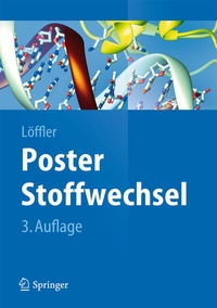 Abbildung von: Poster Stoffwechsel - Springer