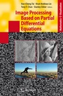 Cover: Image Processing Based on Partial Differential Equations - Springer
