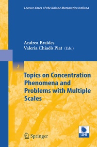Abbildung von: Topics on Concentration Phenomena and Problems with Multiple Scales - Springer