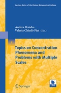Cover: Topics on Concentration Phenomena and Problems with Multiple Scales - Springer