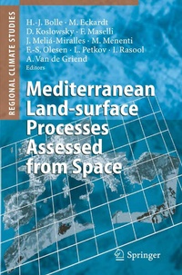 Enlarge image Cover: Mediterranean Land-surface Processes Assessed from Space - Springer