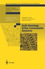 Cover: Cyclic Homology in Non-Commutative Geometry - Springer