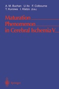 Bild: Maturation Phenomenon in Cerebral Ischemia V - Springer