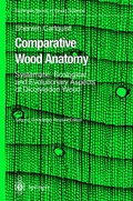 Bild: Comparative Wood Anatomy - Springer