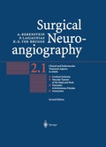 Bild: Surgical Neuroangiography - Springer