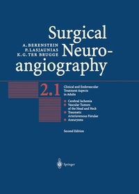 Bild: Surgical Neuroangiography - Springer