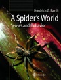 Cover: A Spider's World - Springer