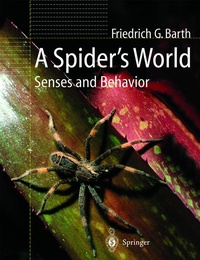 Enlarge image Cover: A Spider's World - Springer