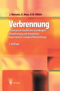 Abbildung von: Verbrennung - Springer
